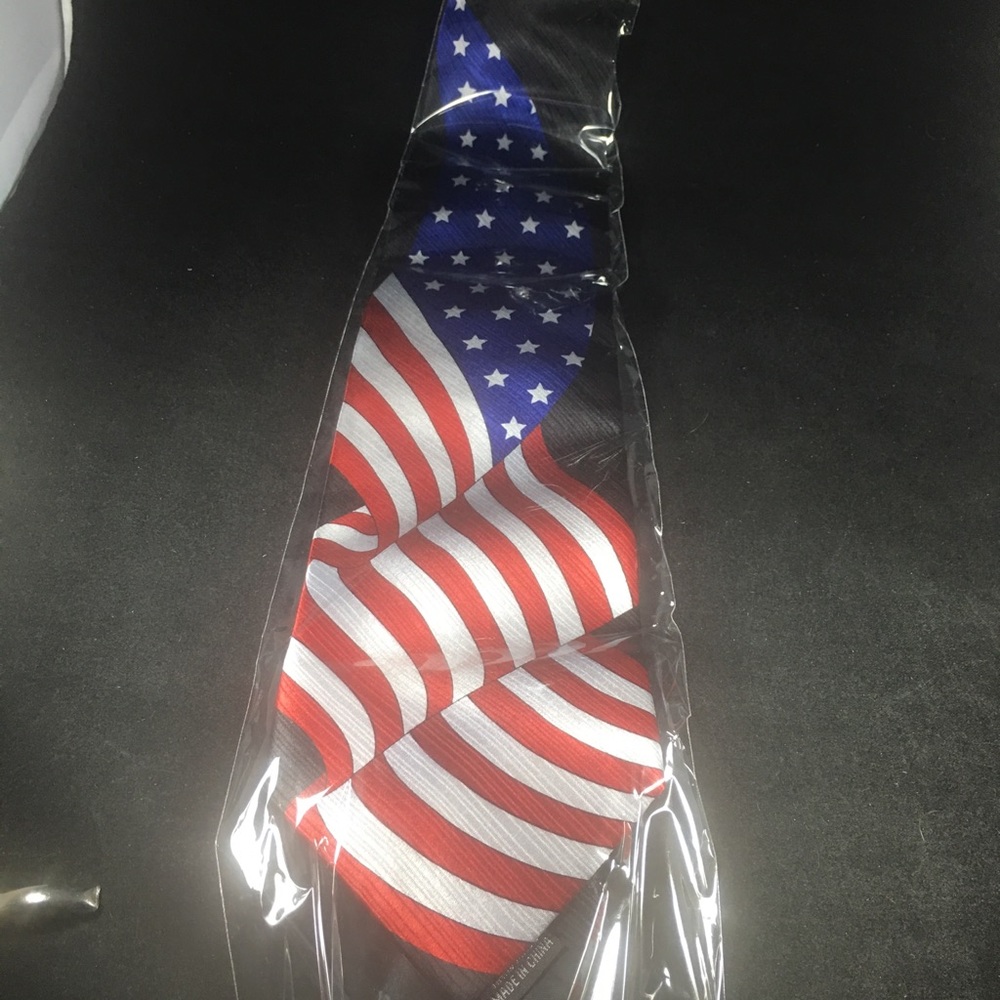 PATRIOTIC USA FLAG NECK TIE BY WILD TIES - NEW